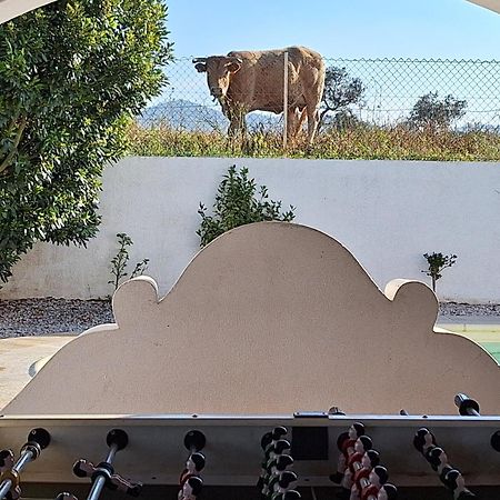 Portela Guesthouse Cercal do Alentejo Exterior photo