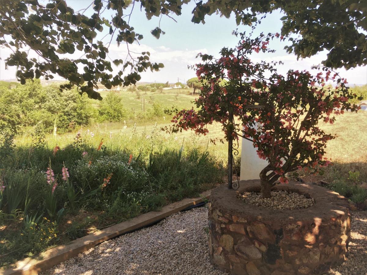 Portela Guesthouse Cercal do Alentejo Exterior photo