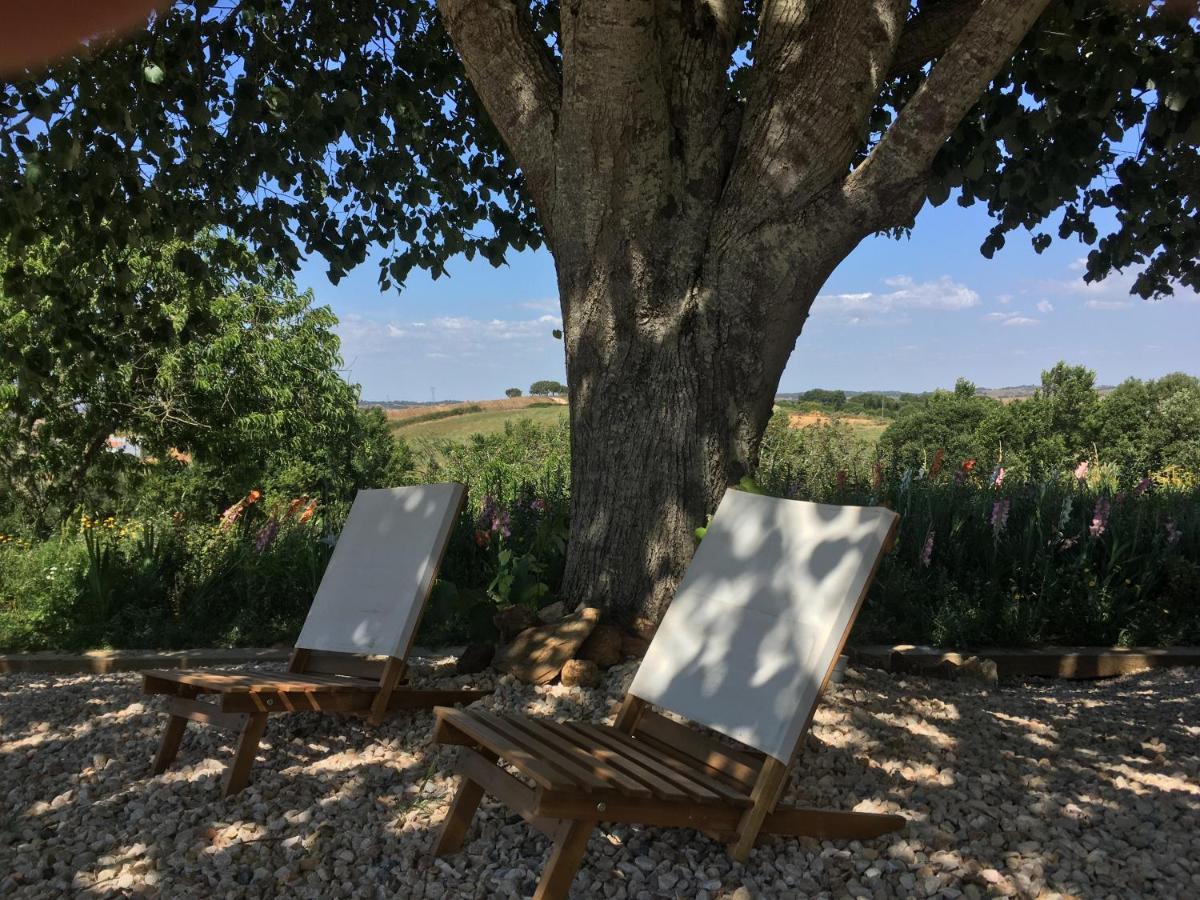 Portela Guesthouse Cercal do Alentejo Exterior photo