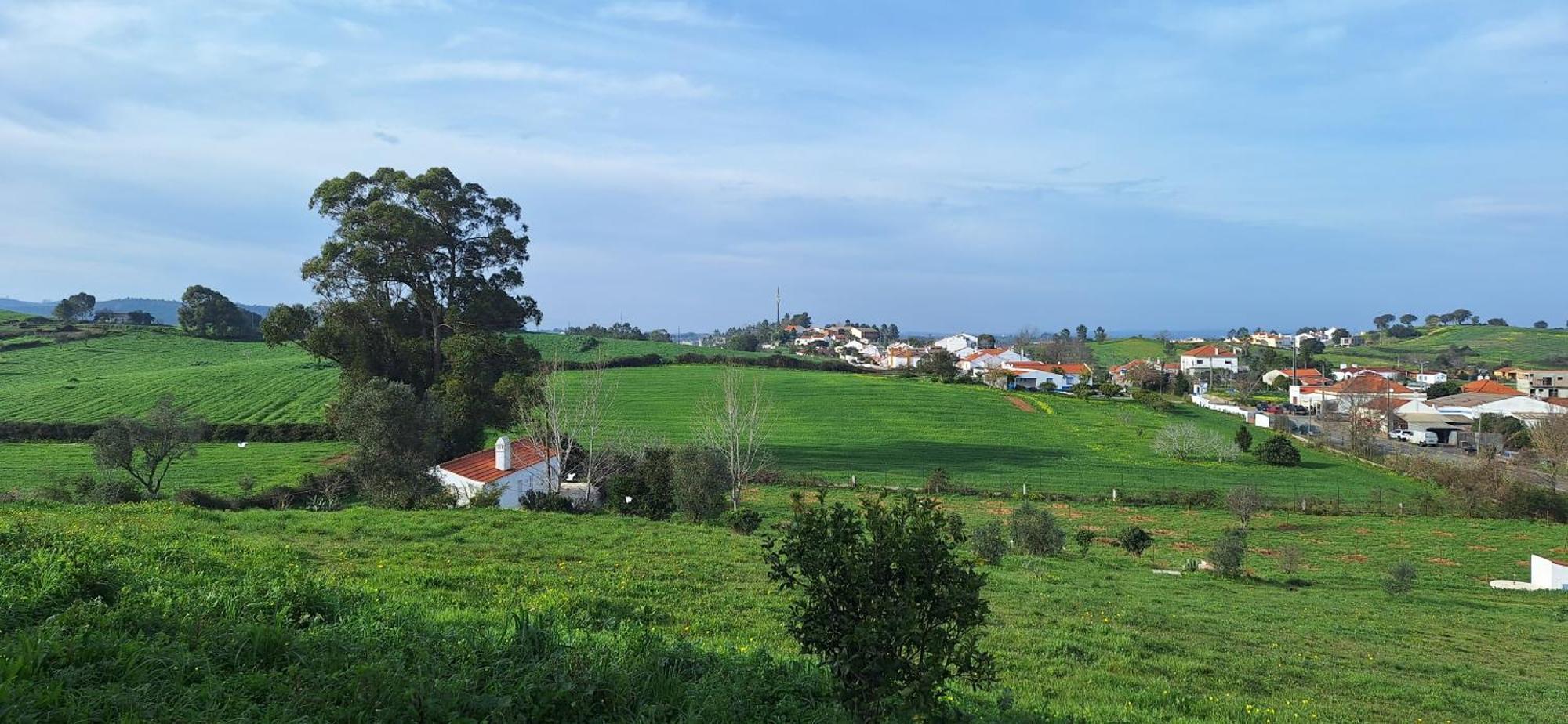 Portela Guesthouse Cercal do Alentejo Exterior photo