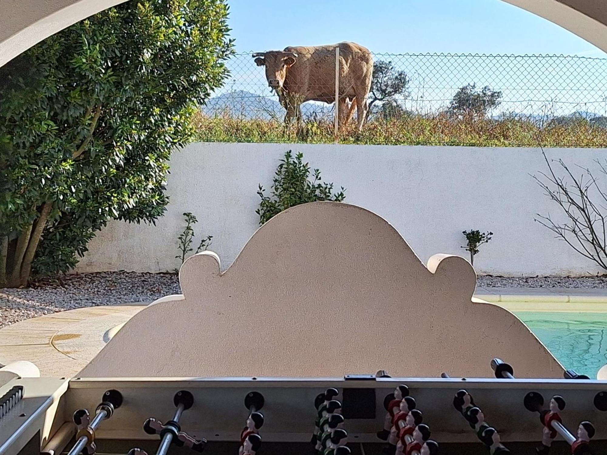 Portela Guesthouse Cercal do Alentejo Exterior photo